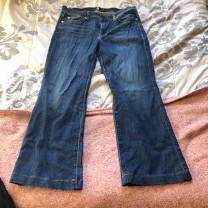 7 FOR ALL MANKIND DOJO JEANS